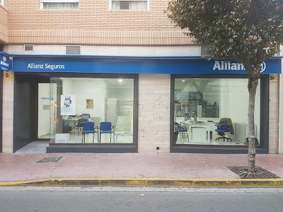 Negocio Agencia Allianz Seguros El Ejido