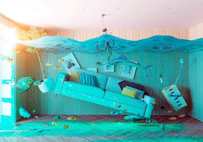 Negocio Asegura Group