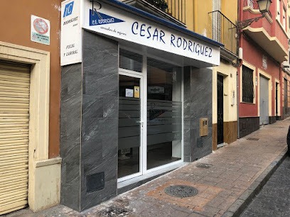 Negocio Cesar Rodriguez