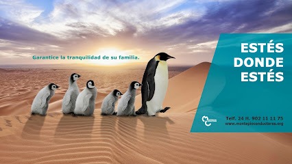 Negocio Montepío De Conductores, Almería