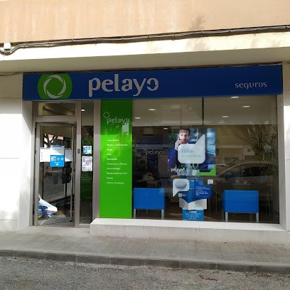 Negocio Oficina Seguros Pelayo