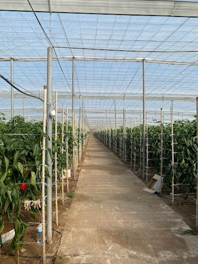 Negocio Segurelite Correduria De Seguros